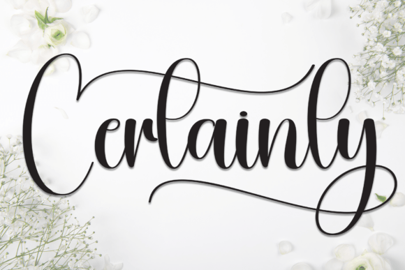 Certainly: A Script Font for Modern Web Design