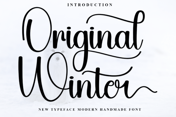 Original Winter Font Review: A Soft Script for Branding